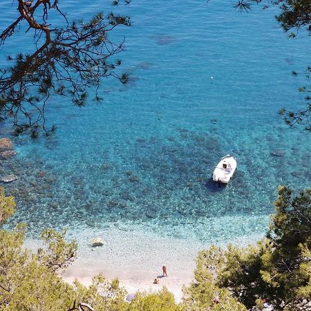 "L'Hippocampe", Climatise, 60 M2 , 2 Chambres, Tres Calme, Plage Des Sablettes Et Commerces A 3 Minutes A Pied, Wifi, Parking Gratuit, Lit King Size La Seyne-sur-Mer Exteriör bild