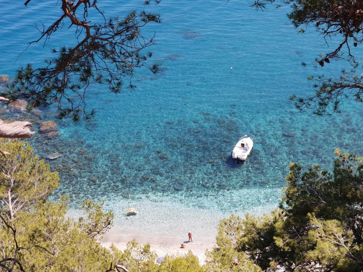 "L'Hippocampe", Climatise, 60 M2 , 2 Chambres, Tres Calme, Plage Des Sablettes Et Commerces A 3 Minutes A Pied, Wifi, Parking Gratuit, Lit King Size La Seyne-sur-Mer Exteriör bild