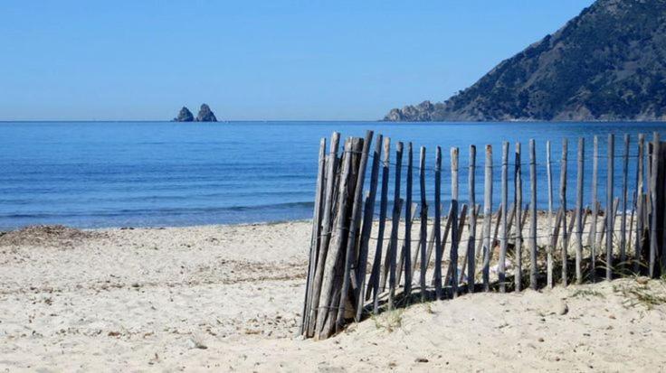 "L'Hippocampe", Climatise, 60 M2 , 2 Chambres, Tres Calme, Plage Des Sablettes Et Commerces A 3 Minutes A Pied, Wifi, Parking Gratuit, Lit King Size La Seyne-sur-Mer Exteriör bild